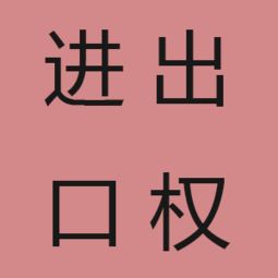 上海企業(yè)辦理進(jìn)出口權(quán)及貨物進(jìn)出口的完整指南與代辦服務(wù)解析